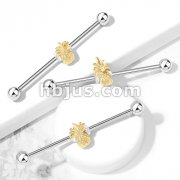 Pineapple 316L Surgical Steel Industrial Barbells