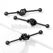 Dragon Claw Holding Black Ball 316L Surgical Steel Industrial Barbell
