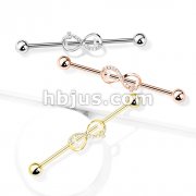 CZ Paved Infinity 316L Surgical Steel Industrial Barbells