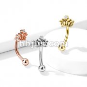 Crown with Crystal 316L Surgical Steel Curved Barbells, Eyebrow Rings