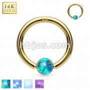 14Kt. Gold Opal Ball Fixed Hoop Rings for Nose, Cartilage, Septum and ore