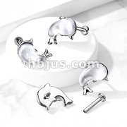 Shell set Whale Top on Internally Threaded 316L Surgical Steel Flat Back Studs for Labret, Monroe, Cartilage and More