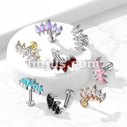 5 Marquise CZ Fan Set Top With Internally Threaded 316L Surgical Steel Flat Back Studs for Labret, Monroe, Cartilage and More