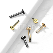 10pc Pack Implant Grade Titanium Internally Threaded PVD Plated 3mm Base Labret Posts