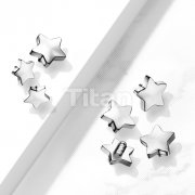 Implant Grade Titanium Internally Threaded Flat Star Top