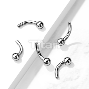 Implant Grade Titanium Threadless Push In Curved Barbell Pins with One FixedBall 