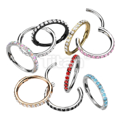 Implant Grade Titanium 20 Gauge Side CZ Paved Hinged Segment Hoop Ring for the Nose and More